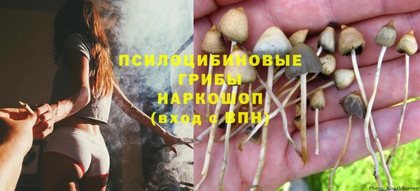 меф Богданович