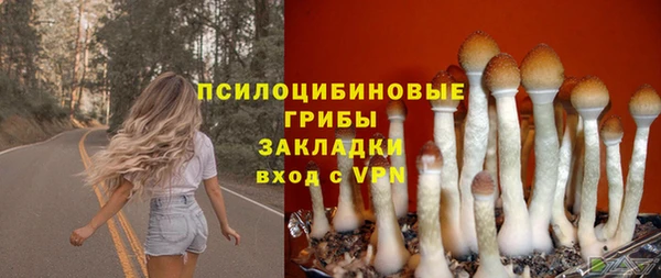 синтетический гашиш Белокуриха