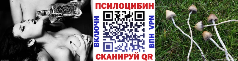 как найти закладки  Болотное  Псилоцибиновые грибы Magic Shrooms 